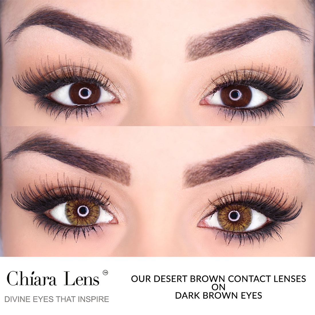 Brown Contact Lenses On Dark Brown Eyes